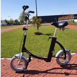 VAN RAAM CITY (versterkte uitvoering , tot 150 Kg)